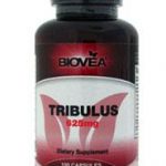 TRIBULUS - siła testosteronu! Nowość rekomendowana przez intymnosc.pl